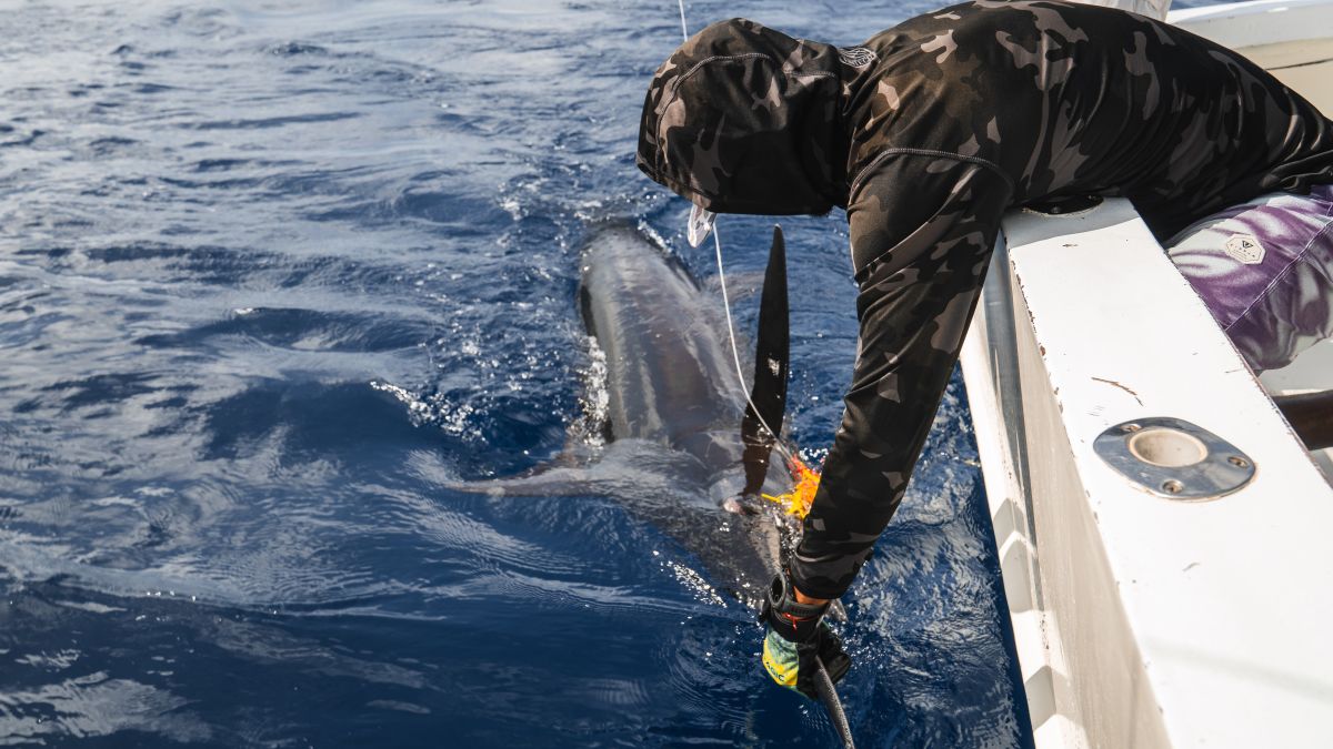 Ultimate Guide to Marlin Fishing in Tamarindo, Costa Rica – 2025 Edition