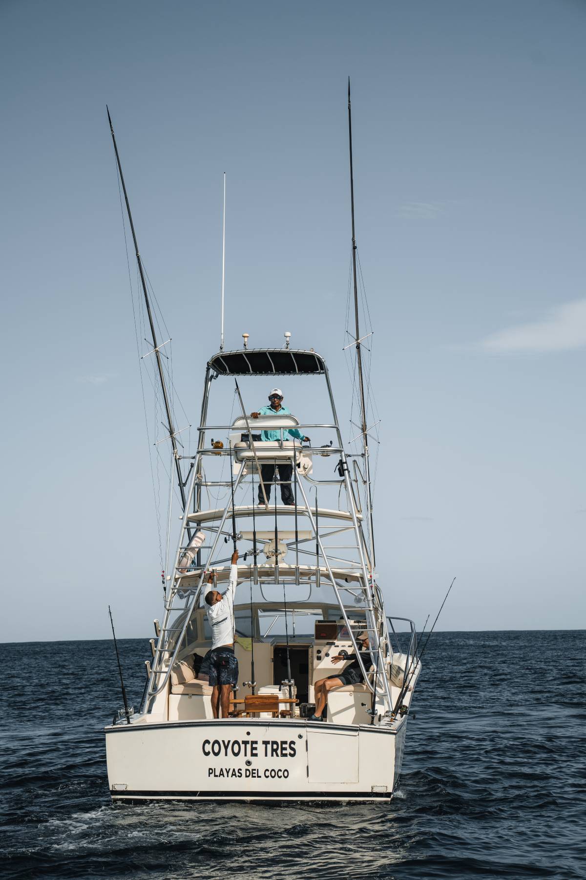 Coyote Tres rear view