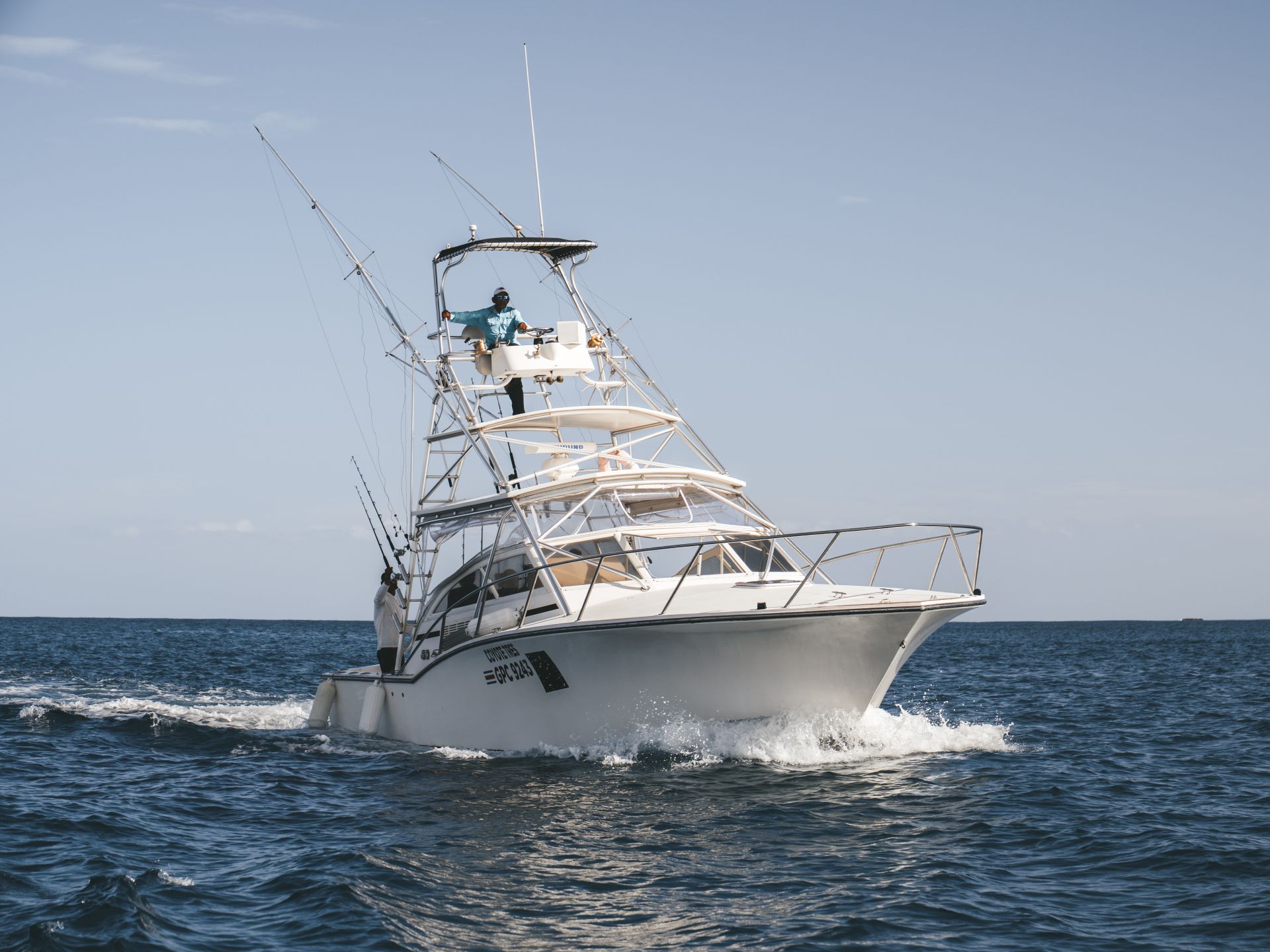 Coyote Tres main view