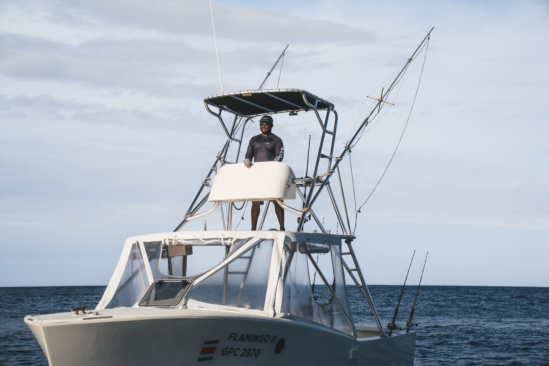 Flamingo II close view