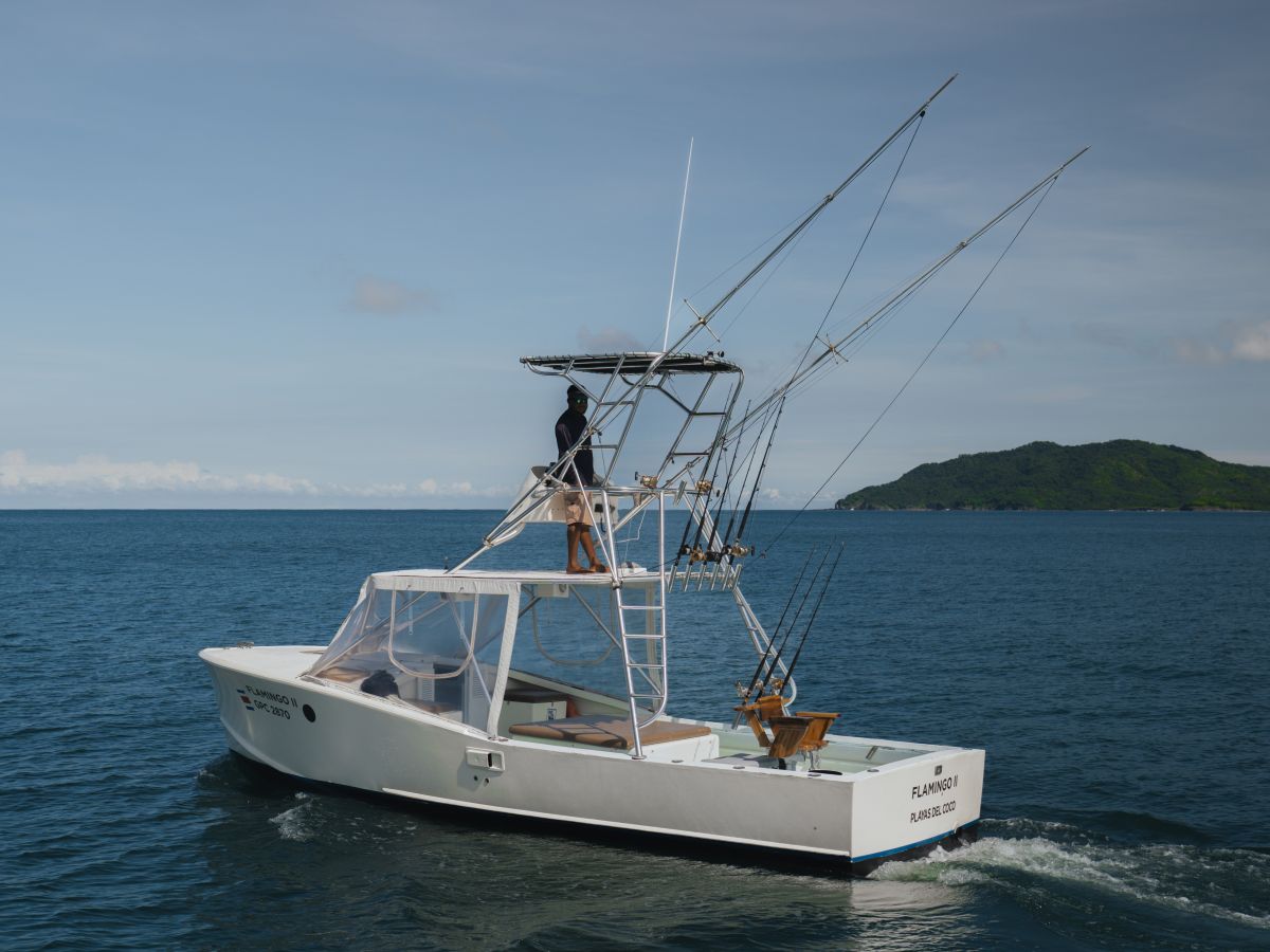 Flamingo II close side view