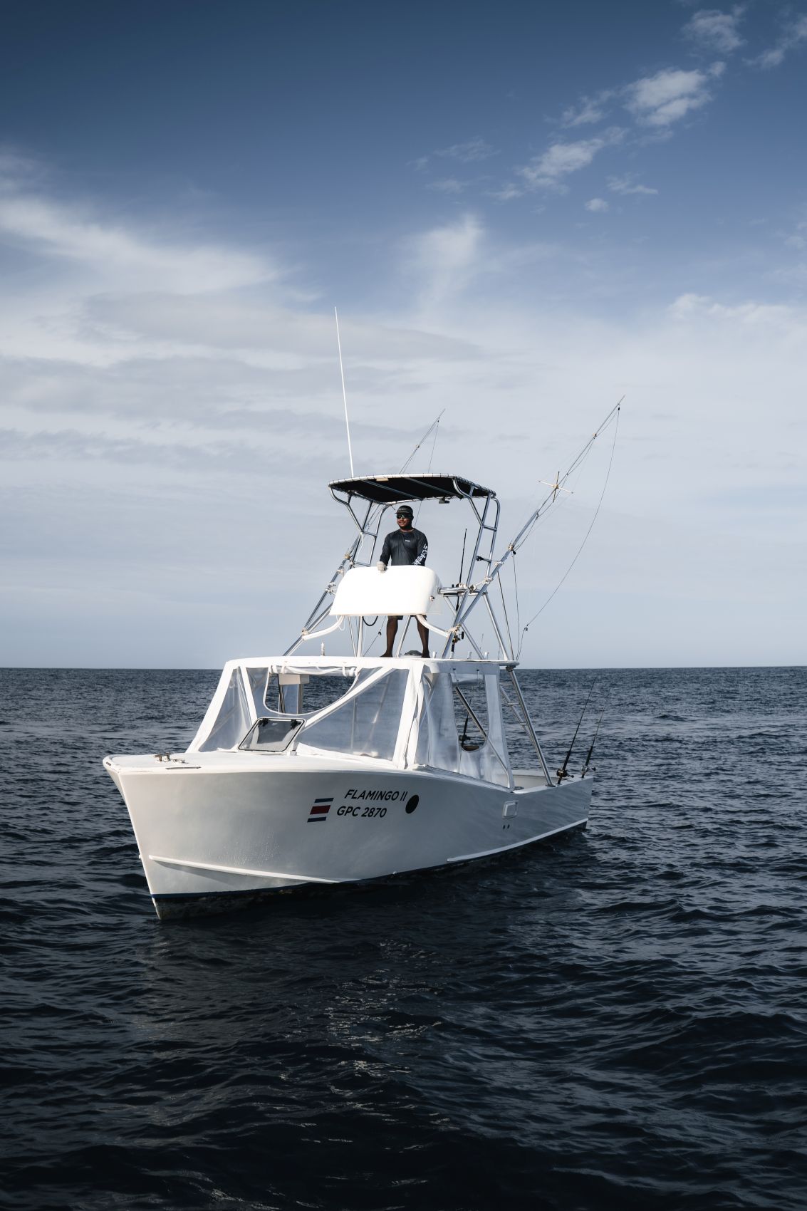 Flamingo II far view