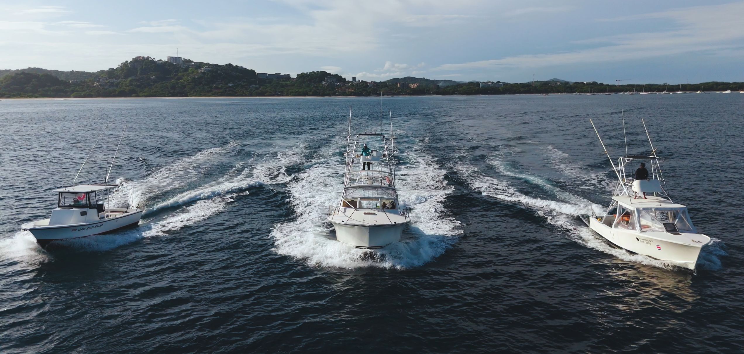 Our Professional Fleet