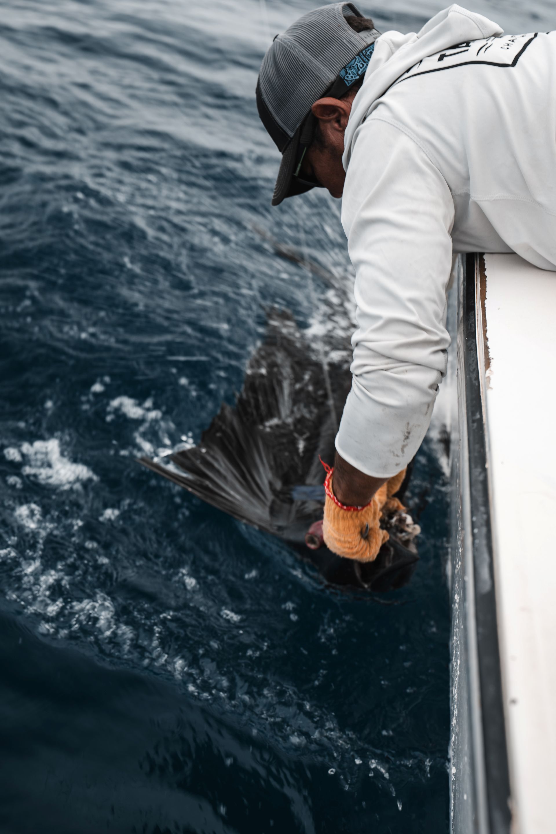 Ocean fishing charter